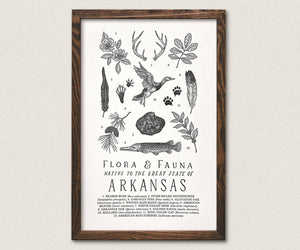 Arkansas Field Guide