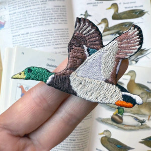 Mallard Patch