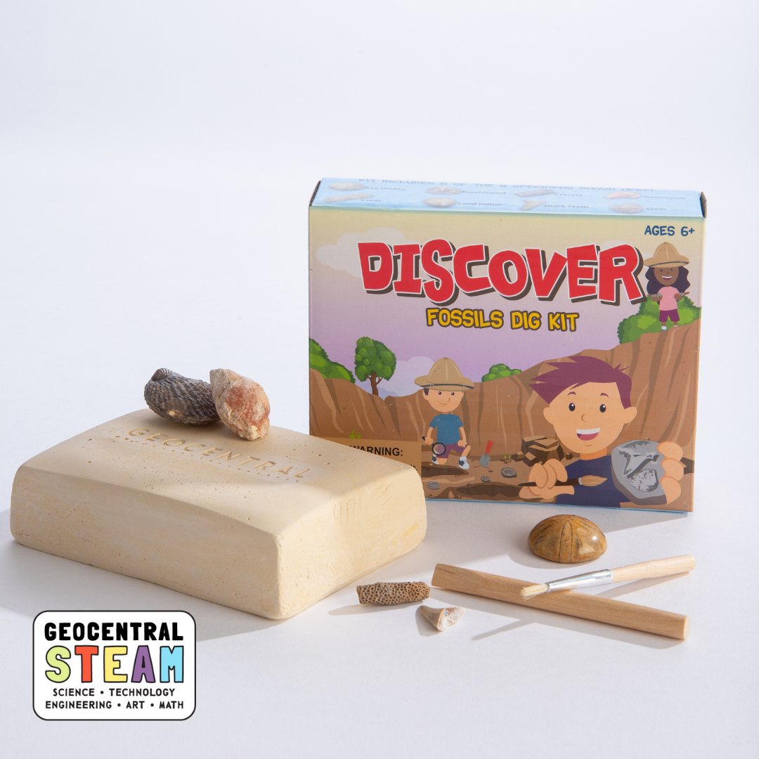 Dig Kit: Discover Fossils