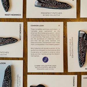 Common Loon Patch