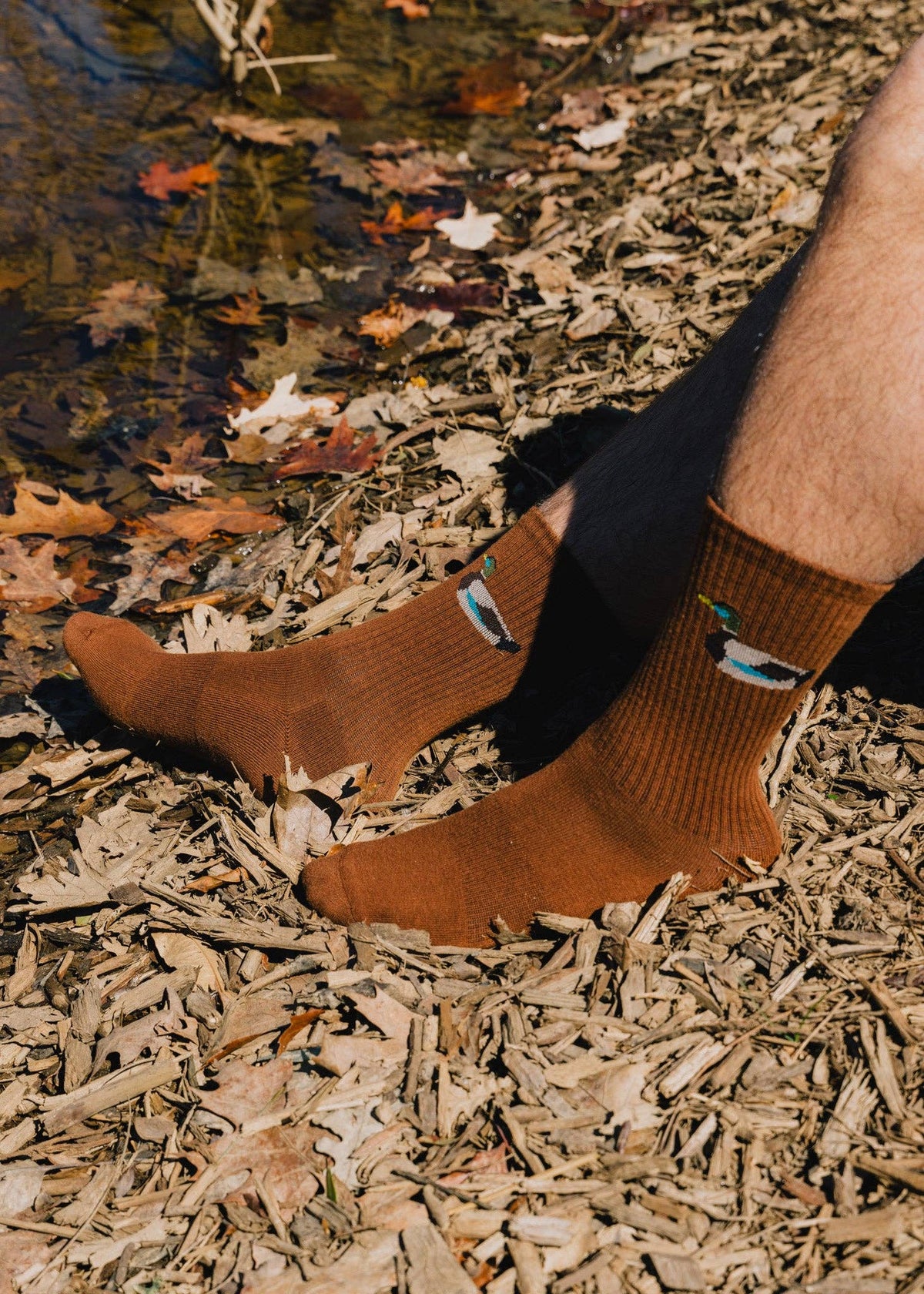 The Zoo Crew Sock